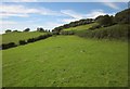 Field east of Cefn-Gader