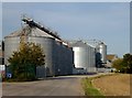 TL4293 : Grain silos, Fengrain, Wimblington by Richard Humphrey