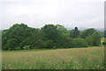 TQ0541 : Smithwood Common by N Chadwick