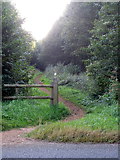 SP7950 : Bridleway through Salcey Forest by Philip Jeffrey