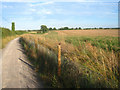 SU5950 : Cyclepath by Battledown North (55 acres) by Mr Ignavy