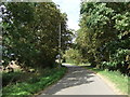 Lane near Manor Farm