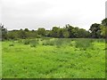 Tivnacree Townland