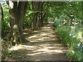 Basingstoke Canal