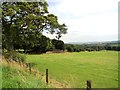 View south from the road west of Cornsay Colliery