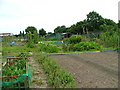 TG2512 : Sprowston allotments by Dave Fergusson