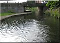 Birmingham & Fazeley Canal: New Troutpool Bridge