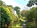 Cottage in Slatersbank Wood