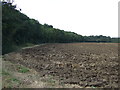 Farmland beside Bushmead Big Wood