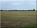 Farmland off the St Neots road