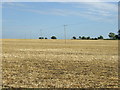 Farmland, Lower Honeydon Farm