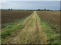 Farm track (footpath) near Honeydon