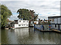 Houseboats near Bull