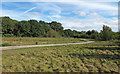 Path near White Post Wood