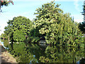 Grand Union Canal, Norwood Green