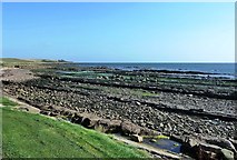 NO5804 : Fife Coastal View by Mary and Angus Hogg