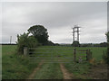 SE3265 : Unusual pylon on the Ripon Rowel Walk by John Slater