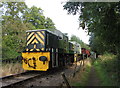 Dean Forest Railway and footpath near St Mary halt