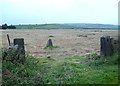 Gateposts and Harvested Field on Stone Moor