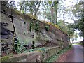 Sandstone Cutting on Bolesworth Hill Road