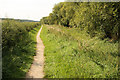 SK6636 : Grantham Canal towpath by Richard Croft