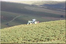 SO0852 : Tractor on the hill by Bill Nicholls