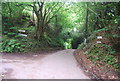 Footpath off Alderbrook Rd