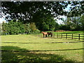 Horses at Oak Lodge