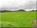 Annagh Townland