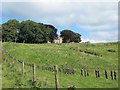 Over 200 moles on a wire below Harwood Shield