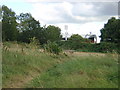 Selhurst Park from Whitehorse Meadow