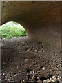 SK7855 : Underneath the arches  by Alan Murray-Rust