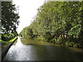 SP1995 : Birmingham & Fazeley Canal: Marston reach by Nigel Cox