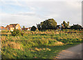 The Hook Community Orchard