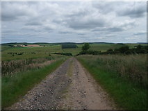 NU0332 : St Cuthbert's Way (new route) heading towards the valley of Hetton Burn by Tim Heaton