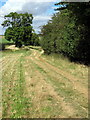 Greensand Ridge Walk by Birchall