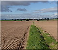 Footpath across open fields towards Green Arbour Road