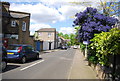 Harding Lane