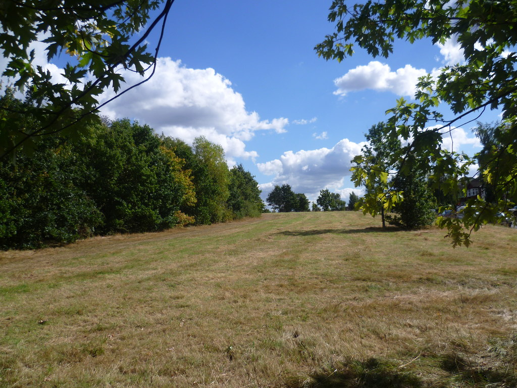 Cannon Hill Common © Marathon :: Geograph Britain and Ireland