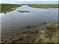 TF5725 : Lagoon on the salt marsh near Ongar Hill by Richard Humphrey