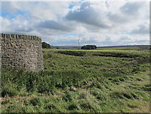 NY7956 : Disused shallow quarry by Keenley lime kiln by Mike Quinn