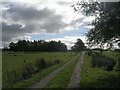 Brook Lane towards Beggars Hill Plantation