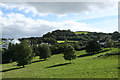 Dittisham: towards Lower Dittisham