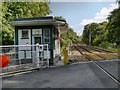 Norbury Hollow Crossing