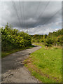 Path at Jacksons Brickworks