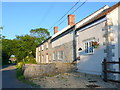 Cottages in Curry Mallet