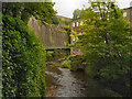 SJ9985 : River Goyt, Torr Vale Mill by David Dixon