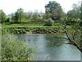 Riverside edge of Hadnock Court Farm