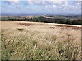 View from Pardlestone Hill