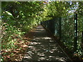 Footpath off Prune Hill